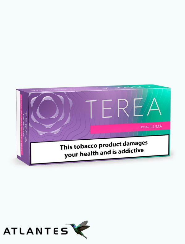 خریدسیگار ترا اروپایی پرپل Terea Europian Purple تریا اروپایی پرپل، تریا اروپایی پرپل ویو، تریا اروپایی بنفش با بهترین قیمت فروش در ایران