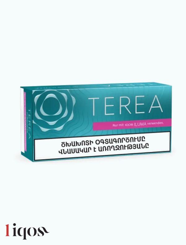 سیگار ترا تورکویز ارمنی Terea Armenian Turquoise ترا تورکویز ارمنی Terea Turquoise Armenian ترا تورکویز Terea Turquoise